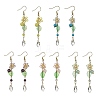 Amethyst/Green Aventurine/Lemon Jade/Synthetic Turquoise/Rose Quartz & Acrylic Dangle Earrings EJEW-JE06196-1