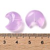 Baking Paint Transparent Glass Beads DGLA-F003-01J-3