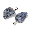 Natural Blue Spot Jasper Pendants G-B127-01P-01-2