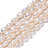 Natural Cultured Freshwater Pearl Beads Strands X1-PEAR-N012-03D-2