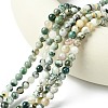 Natural Tree Agate Beads Strands G-K194-6mm-02-3