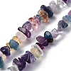 Natural Fluorite Chip Bead Strands G-M205-08-3