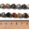 Natural Picasso Jasper Beads Strands G-Z119-A25-03-6