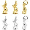 12Pcs 2 Colors Brass Charms KK-BBC0017-98-1