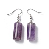 Natural Amethyst Cylindrical Dangle Earrings EJEW-D188-01P-07-2