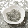 8/0 Glass Seed Beads SEED-Z001-C-E13-2