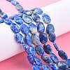 Natural Lapis Lazuli Beads Strands G-K311-01A-03-1