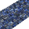 Natural Lapis Lazuli Beads Strands G-M403-A43-02-5