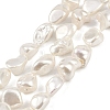 Shell Pearl Beads Strands BSHE-C008-01-1