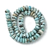 Natural Larimar Beads Strands G-H004-A01-01-3