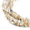Natural Trochus Shell Beads Strands BSHE-H109-10-4