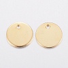 304 Stainless Steel Charms STAS-H436-66-6mm-2