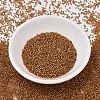 MIYUKI Delica Beads SEED-JP0008-DB1734-2