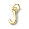 Rack Plating Brass Charms KK-P245-06G-J-1