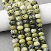 Natural Yellow Turquoise(Jasper) Beads Strands G-B179-A02-6x8mm-1