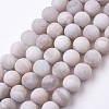 Natural White Agate Bead Strands G-J376-02-10mm-1