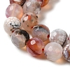 Dyed & Heated Natural Fire Crackle Agate Beads Strands G-P539-B01-25-4