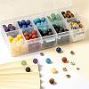 285Pcs 10 Style Natural & Synthetic Gemstone Beads G-LS0001-07-5