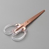 Stainless Steel Scissors AJEW-WH0475-26RG-2