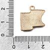 Alloy with Enamel Pendants AL-CBA9E11-03KCG-20-3
