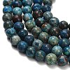 Natural Chrysocolla Beads Strands G-C289-B02-10mm-3