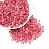 Transparent Inside Colours Glass Seed Beads SEED-T007-13E-3
