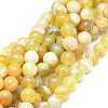Natural Yellow Opal Beads Strands G-F674-07A-10mm-1