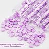  304Pcs 2-Hole Glass Seed Beads SEED-NB0001-70-5