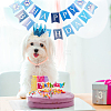 Olycraft Pet Birthday Party Supplies DIY-OC0004-37-6