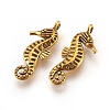 Tibetan Style Alloy Charms TIBEP-A19239-AG-RS-2
