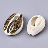 Natural Cowrie Shell Beads SSHEL-N034-36B-2