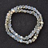 Electroplate Glass Bead Strands EGLA-J137-6mm-B-HR08-2