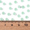 6/0 Transparent Inside Colours Glass Seed Beads SEED-N008-08I-4