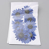 Pressed Dried Flowers DIY-WH0308-412E-1-2