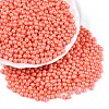 Glass Seed Beads SEED-T007-01E-3