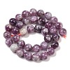 Natural Lepidolite/Purple Mica Stone Beads Strands G-G160-A01-02A-3