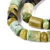 Natural Serpentine Beads Strands G-Q616-09H-4