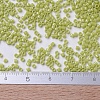 MIYUKI Delica Beads SEED-J020-DB0262-4