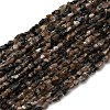 Natural Chiastolite Beads Strands G-I389-A26-2