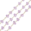Glass & 304 Stainless Steel Beaded Chains SA-CBAD321-04D-1