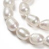 Natural Cultured Freshwater Pearl Beads Strands PEAR-N012-08N-5