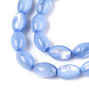 Natural Trochus Shell Beads Strands X-SHEL-K006-19-01A-3
