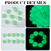 1 Set Resin Luminous Glow in the Dark Pebbles Stone DJEW-CN0001-40D-5