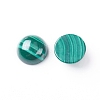 Natural Malachite Cabochons X-G-E557-06C-1