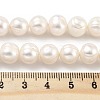 Natural Cultured Freshwater Pearl Beads Strands PEAR-C003-14F-5