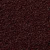 MIYUKI Round Rocailles Beads SEED-G009-RR0419-3