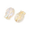 Electroplate and Golden Metal Enlaced Glass Beads EGLA-T029-01A-2