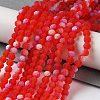 Transparent Glass Beads Strands X1-EGLA-A034-T4mm-MB01-2