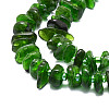 Natural Diopside Beads Strands G-E569-J11-3