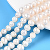 Natural Cultured Freshwater Pearl Beads Strands X1-PEAR-N013-08G-1